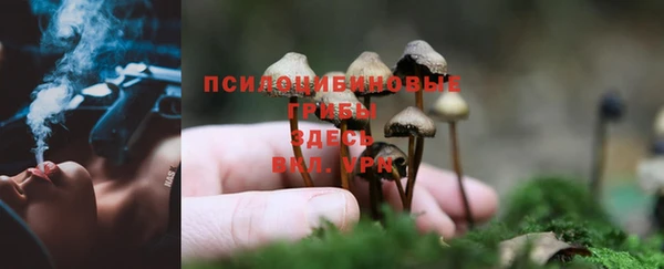 кокс Богородицк